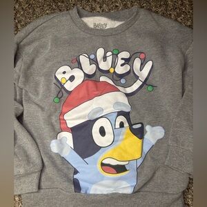 Bluey Gray Sweatshirt